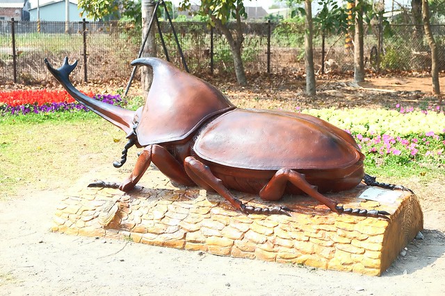 【彰化旅遊景點】溪州費茲洛公園。紫色薰衣草盛開中,公園裡有小橋湖泊,而且不定期的會有熱氣球活動 @飛天璇的口袋