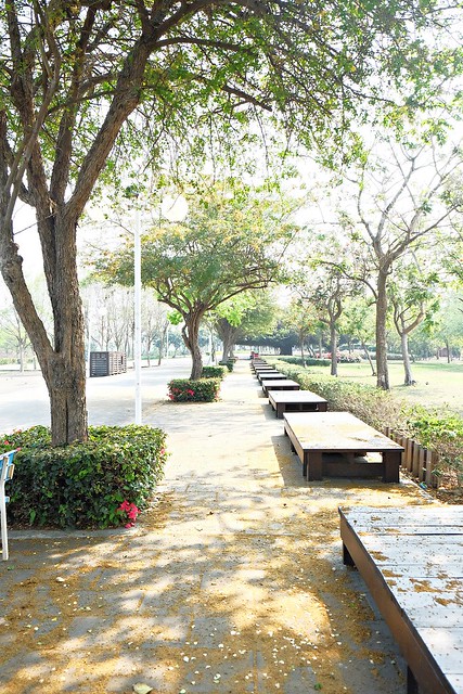 【彰化旅遊景點】溪州費茲洛公園。紫色薰衣草盛開中,公園裡有小橋湖泊,而且不定期的會有熱氣球活動 @飛天璇的口袋