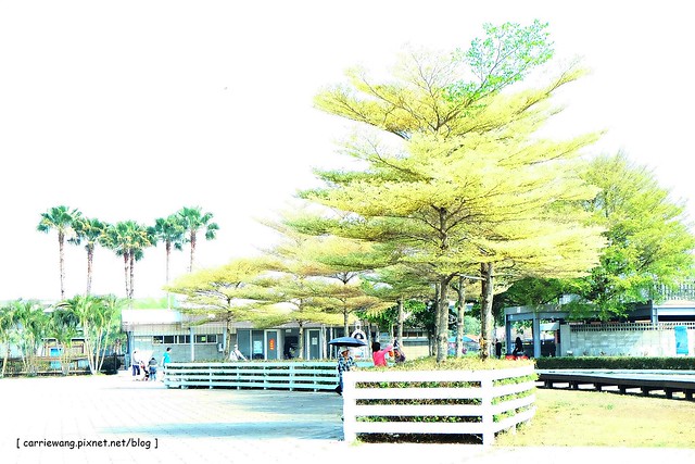 【彰化旅遊景點】溪州費茲洛公園。紫色薰衣草盛開中,公園裡有小橋湖泊,而且不定期的會有熱氣球活動 @飛天璇的口袋