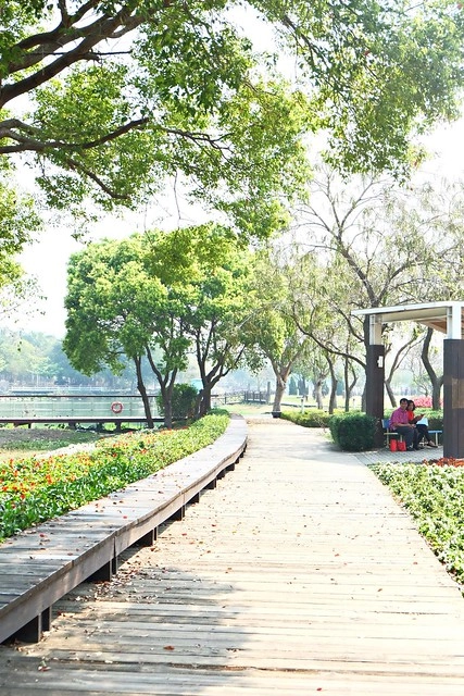 【彰化旅遊景點】溪州費茲洛公園。紫色薰衣草盛開中,公園裡有小橋湖泊,而且不定期的會有熱氣球活動 @飛天璇的口袋