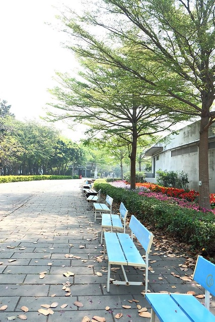 【彰化旅遊景點】溪州費茲洛公園。紫色薰衣草盛開中,公園裡有小橋湖泊,而且不定期的會有熱氣球活動 @飛天璇的口袋