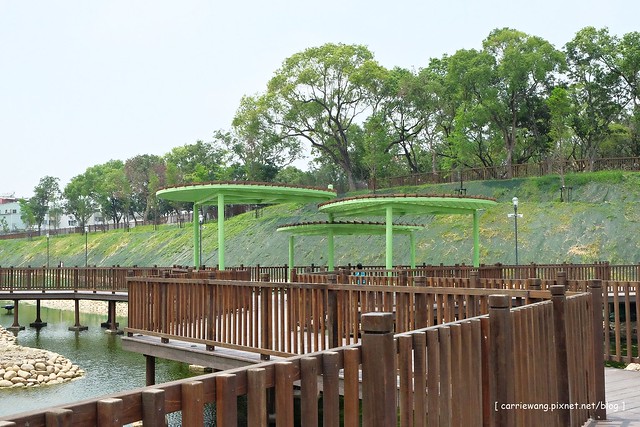 【台中旅遊景點】太平坪林森林公園。比秋紅谷大三倍,有生態滯洪作用的美麗公園,是情侶散步約會和家長溜小孩的好地方 @飛天璇的口袋