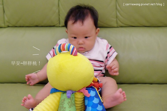 【育兒日記分享】Lamaze 拉梅茲嬰幼兒玩具.音樂布蟲尺 / 柔軟故事書 / 音感八爪章魚。給寶寶的第一份禮物,強化寶寶的感官能力,學習從0歲開始 @飛天璇的口袋