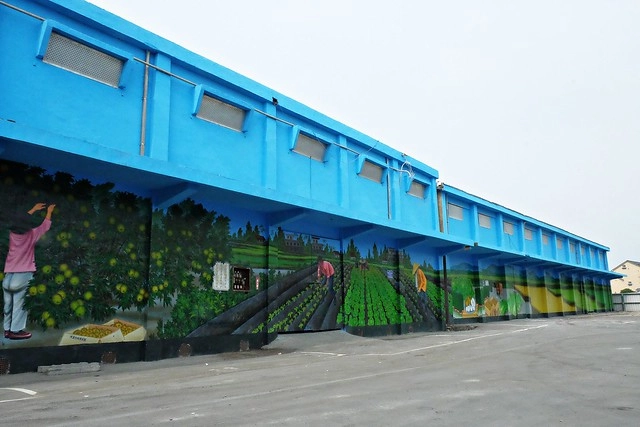 【彰化旅遊景點】埤頭百寶村。老穀倉變身彩繪村,有可愛的Lu’s插畫,還有在地特色伴手禮,順便體驗DIY的樂趣 @飛天璇的口袋