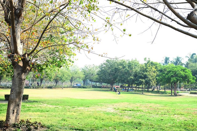 【彰化旅遊景點】溪州費茲洛公園。紫色薰衣草盛開中,公園裡有小橋湖泊,而且不定期的會有熱氣球活動 @飛天璇的口袋