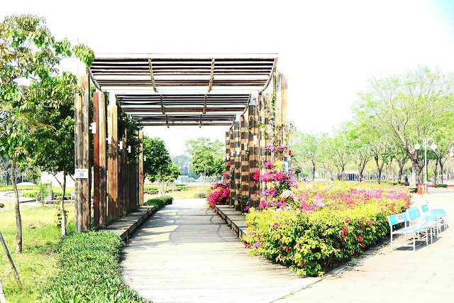 【彰化旅遊景點】溪州費茲洛公園。紫色薰衣草盛開中,公園裡有小橋湖泊,而且不定期的會有熱氣球活動 @飛天璇的口袋