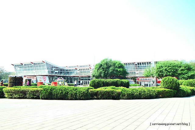 【彰化旅遊景點】溪州費茲洛公園。紫色薰衣草盛開中,公園裡有小橋湖泊,而且不定期的會有熱氣球活動 @飛天璇的口袋