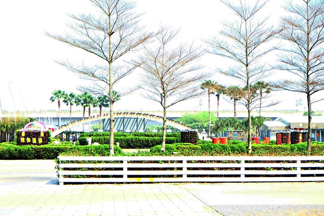 【彰化旅遊景點】溪州費茲洛公園。紫色薰衣草盛開中,公園裡有小橋湖泊,而且不定期的會有熱氣球活動 @飛天璇的口袋