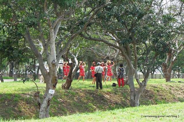 【台中旅遊景點】太平坪林森林公園。比秋紅谷大三倍,有生態滯洪作用的美麗公園,是情侶散步約會和家長溜小孩的好地方 @飛天璇的口袋