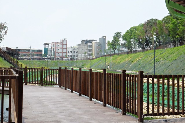 【台中旅遊景點】太平坪林森林公園。比秋紅谷大三倍,有生態滯洪作用的美麗公園,是情侶散步約會和家長溜小孩的好地方 @飛天璇的口袋