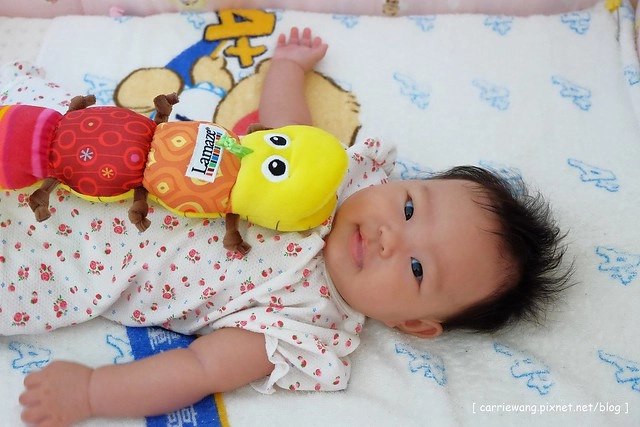 【育兒日記分享】Lamaze 拉梅茲嬰幼兒玩具.音樂布蟲尺 / 柔軟故事書 / 音感八爪章魚。給寶寶的第一份禮物,強化寶寶的感官能力,學習從0歲開始 @飛天璇的口袋