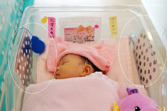 【育兒日記分享】Lamaze 拉梅茲嬰幼兒玩具.音樂布蟲尺 / 柔軟故事書 / 音感八爪章魚。給寶寶的第一份禮物,強化寶寶的感官能力,學習從0歲開始 @飛天璇的口袋