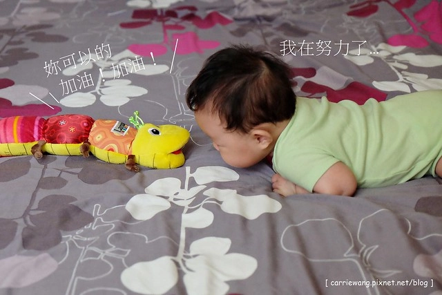 【育兒日記分享】Lamaze 拉梅茲嬰幼兒玩具.音樂布蟲尺 / 柔軟故事書 / 音感八爪章魚。給寶寶的第一份禮物,強化寶寶的感官能力,學習從0歲開始 @飛天璇的口袋