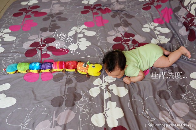 【育兒日記分享】Lamaze 拉梅茲嬰幼兒玩具.音樂布蟲尺 / 柔軟故事書 / 音感八爪章魚。給寶寶的第一份禮物,強化寶寶的感官能力,學習從0歲開始 @飛天璇的口袋