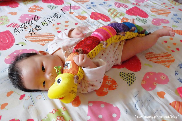 【育兒日記分享】Lamaze 拉梅茲嬰幼兒玩具.音樂布蟲尺 / 柔軟故事書 / 音感八爪章魚。給寶寶的第一份禮物,強化寶寶的感官能力,學習從0歲開始 @飛天璇的口袋