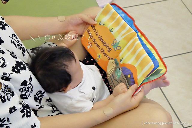 【育兒日記分享】Lamaze 拉梅茲嬰幼兒玩具.音樂布蟲尺 / 柔軟故事書 / 音感八爪章魚。給寶寶的第一份禮物,強化寶寶的感官能力,學習從0歲開始 @飛天璇的口袋