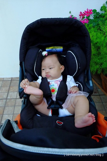 【育兒日記分享】奇帝汽座推車.Kiddy City n’ Move 輕風行推車。歐洲進口兒童推車品牌,時尚輕巧收放容易,可以當推車也可以當汽座,一車兩用非常方便 @飛天璇的口袋