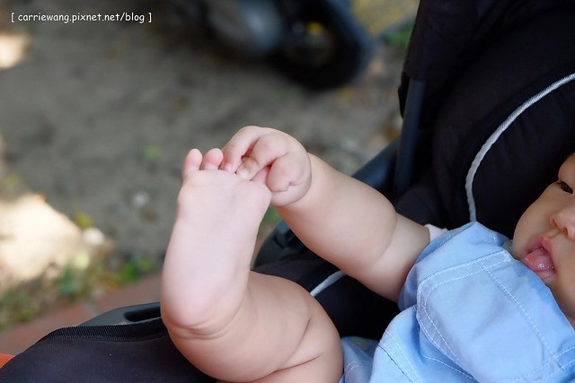 【育兒日記分享】奇帝汽座推車.Kiddy City n’ Move 輕風行推車。歐洲進口兒童推車品牌,時尚輕巧收放容易,可以當推車也可以當汽座,一車兩用非常方便 @飛天璇的口袋