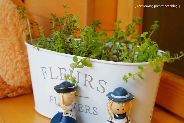 【台中甜點推薦】Crêpe cocoya日式可麗餅專賣店。草悟道散步美食,少女風的日式可麗餅,有多種口味可以選擇 @飛天璇的口袋