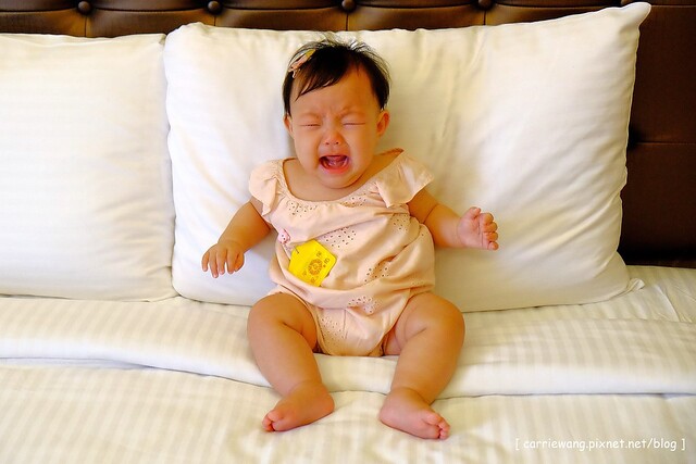 【育兒日記分享】媽咪敗家:寶寶平安符袋.存摺套.寶寶手冊保護套.奶嘴鏈.三角巾(口水巾).背袋口水巾…新生兒彌月禮推薦 @飛天璇的口袋