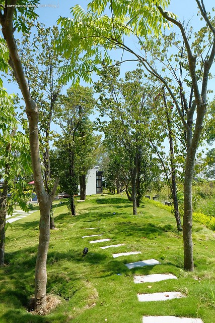 冬山.悠悅光 Aura Villa:超具時尚感的民宿,有庭園游泳池,包棟還可以BBQ,偶像劇《致 第三者》和《搶救21克拉》的拍攝地 @飛天璇的口袋