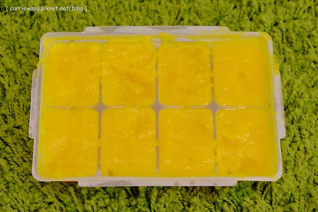 【育兒日記分享】寶寶的副食品+Cusinart77副食品攪拌器使用心得分享。寶寶幾個月開始吃副食品?外出旅遊時副食品怎麼辦?寶寶吃副食品的工具推薦 @飛天璇的口袋