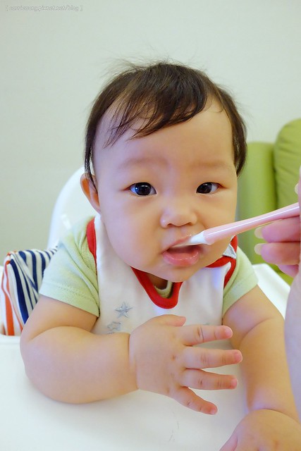 【育兒日記分享】寶寶的副食品+Cusinart77副食品攪拌器使用心得分享。寶寶幾個月開始吃副食品?外出旅遊時副食品怎麼辦?寶寶吃副食品的工具推薦 @飛天璇的口袋