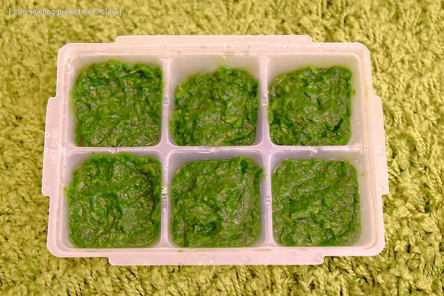 【育兒日記分享】寶寶的副食品+Cusinart77副食品攪拌器使用心得分享。寶寶幾個月開始吃副食品?外出旅遊時副食品怎麼辦?寶寶吃副食品的工具推薦 @飛天璇的口袋