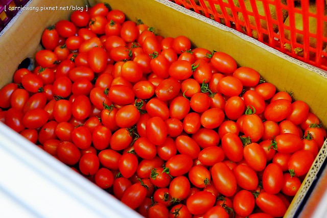 【台中果汁飲料推薦】麻古茶坊。高雄人氣飲料連鎖店進駐台中,新鮮現榨的果汁還看的到果粒,手搖飲料也可以清爽無負擔 @飛天璇的口袋
