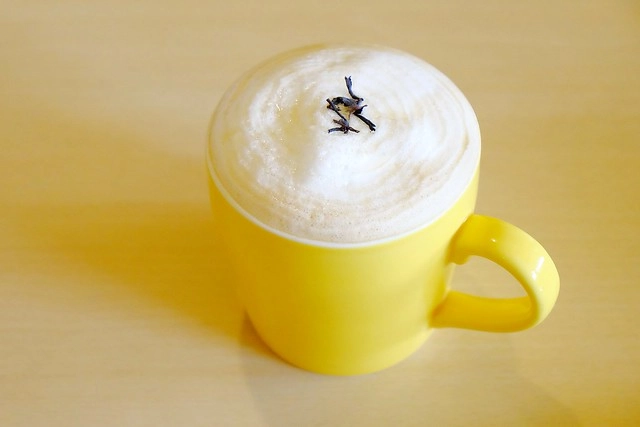 【台中異國料理】阿茲特克墨西哥經典料理,台灣少見的墨西哥菜,騷莎麵香辣好吃又過癮 @飛天璇的口袋