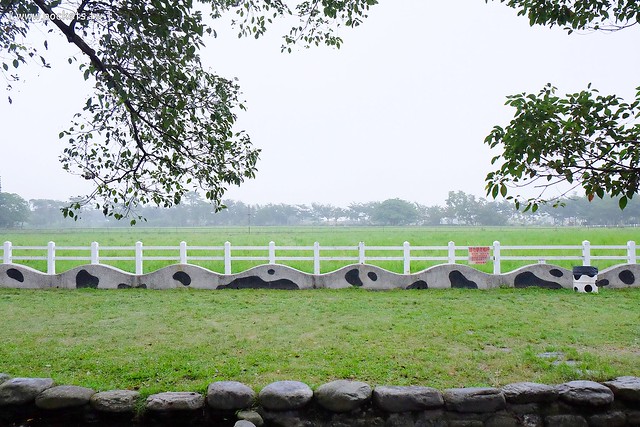 花蓮旅遊|花蓮3天2夜行程推薦|搭乘普悠瑪號遊花蓮,租車資訊x花蓮景點x花蓮美食x花蓮住宿 @飛天璇的口袋