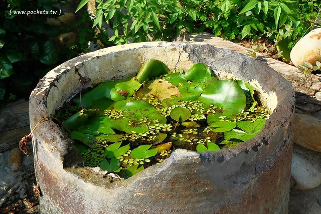 【台中特色咖啡館】13號咖啡(原:楓樹13咖啡)。位於台中南屯區的秘境咖啡館,販售全世界冷門的咖啡豆,一間很樸實卻很有溫度的溪邊13咖啡館 @飛天璇的口袋