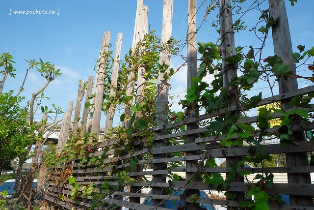 【台中特色咖啡館】13號咖啡(原:楓樹13咖啡)。位於台中南屯區的秘境咖啡館,販售全世界冷門的咖啡豆,一間很樸實卻很有溫度的溪邊13咖啡館 @飛天璇的口袋