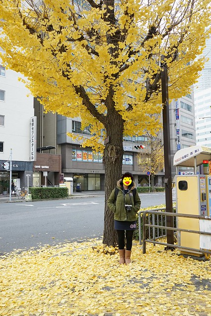 【日本名古屋】南紀悠遊賞楓西班牙村名湯溫泉美食五+1日遊┃威航 Vair 桃園→日本名古屋首航:天擎旅行社。銀杏、楓葉、泡湯~愛知縣x三重縣x和歌山線x奈良縣 @飛天璇的口袋