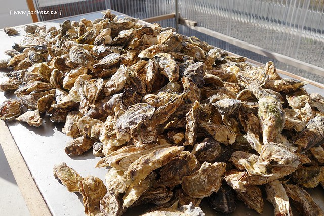 【日本名古屋】南紀悠遊賞楓西班牙村名湯溫泉美食五+1日遊┃威航 Vair 桃園→日本名古屋首航:天擎旅行社。銀杏、楓葉、泡湯~愛知縣x三重縣x和歌山線x奈良縣 @飛天璇的口袋