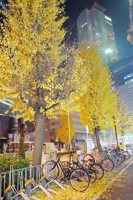 【日本名古屋】南紀悠遊賞楓西班牙村名湯溫泉美食五+1日遊┃威航 Vair 桃園→日本名古屋首航:天擎旅行社。銀杏、楓葉、泡湯~愛知縣x三重縣x和歌山線x奈良縣 @飛天璇的口袋