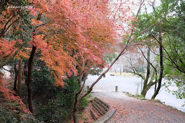 【日本名古屋】南紀悠遊賞楓西班牙村名湯溫泉美食五+1日遊┃威航 Vair 桃園→日本名古屋首航:天擎旅行社。銀杏、楓葉、泡湯~愛知縣x三重縣x和歌山線x奈良縣 @飛天璇的口袋