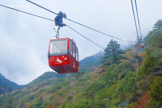 【日本名古屋】南紀悠遊賞楓西班牙村名湯溫泉美食五+1日遊┃威航 Vair 桃園→日本名古屋首航:天擎旅行社。銀杏、楓葉、泡湯~愛知縣x三重縣x和歌山線x奈良縣 @飛天璇的口袋