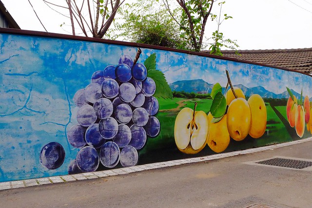 馬力埔彩繪小徑|結合人文、農業、宗教、文化,擁有濃濃在地特色的彩繪小徑,鄰近新社花海可以安排新社景點一日遊 @飛天璇的口袋