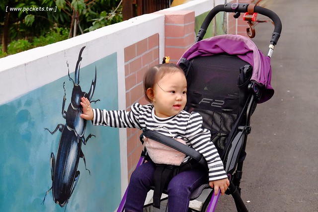 馬力埔彩繪小徑|結合人文、農業、宗教、文化,擁有濃濃在地特色的彩繪小徑,鄰近新社花海可以安排新社景點一日遊 @飛天璇的口袋