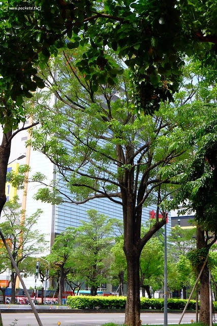 【育兒日記分享】小櫻桃7個月寶寶寫真記錄。柏琳婚紗:婚紗照、寶寶寫真、孕婦照、全家福、藝術照、情侶照…為自已和家人留個記念吧! @飛天璇的口袋