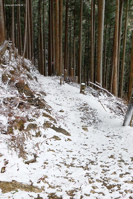 【日本名古屋】南紀悠遊賞楓西班牙村名湯溫泉美食五+1日遊┃威航 Vair 桃園→日本名古屋首航:天擎旅行社。銀杏、楓葉、泡湯~愛知縣x三重縣x和歌山線x奈良縣 @飛天璇的口袋