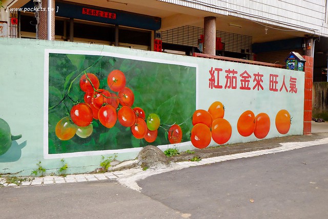 馬力埔彩繪小徑|結合人文、農業、宗教、文化,擁有濃濃在地特色的彩繪小徑,鄰近新社花海可以安排新社景點一日遊 @飛天璇的口袋