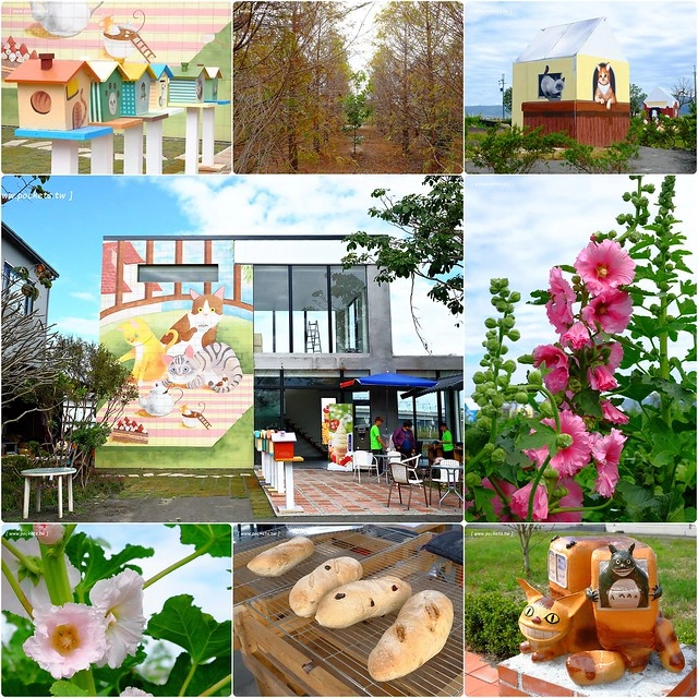 2016台灣蜀藝節-田中窯創意園區┃彰化旅遊景點:蜀葵花田迷宮躲貓貓、美麗的大片落羽松、貓咪主題裝置藝術、窯烤麵包、青森蘋果霜淇淋、鄰近高鐵彰化站步行10分鐘即可抵達 @飛天璇的口袋