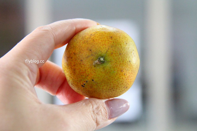 2018花博在后里┃台中后里:結果花博以及農遊,採果、露營、梨の筆DIY,搭配兩天一夜露營行程,后里也有不同的玩法 @飛天璇的口袋