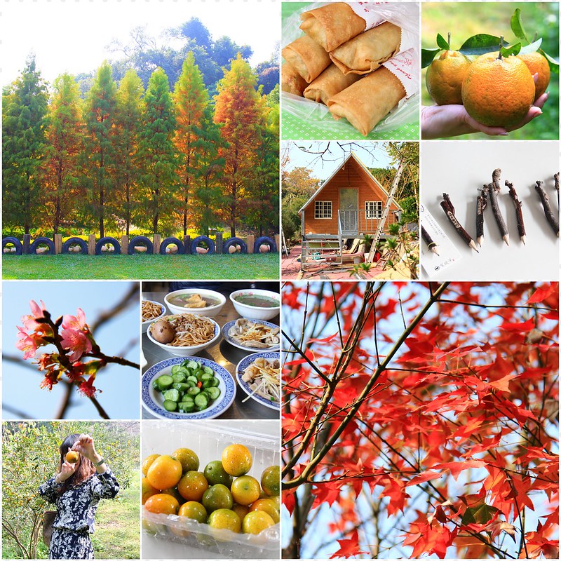 2018花博在后里┃台中后里:結果花博以及農遊,採果、露營、梨の筆DIY,搭配兩天一夜露營行程,后里也有不同的玩法 @飛天璇的口袋