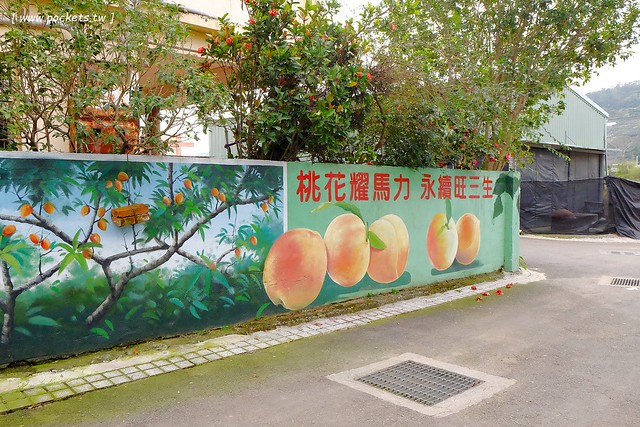 馬力埔彩繪小徑|結合人文、農業、宗教、文化,擁有濃濃在地特色的彩繪小徑,鄰近新社花海可以安排新社景點一日遊 @飛天璇的口袋