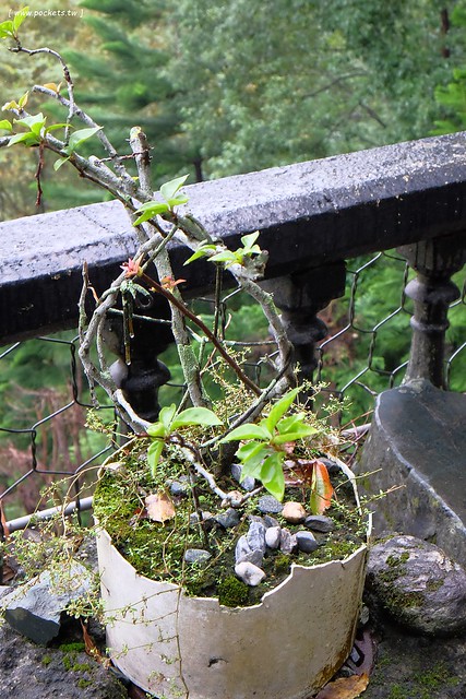 花蓮鳳林|月廬梅子雞|隱身在半山腰中,有擁絕佳的美景,連在地人都激推的好吃梅子雞,要提前預約才吃的到,此行最懷念的花蓮美食推薦 @飛天璇的口袋