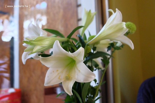 碰憩咖啡館.Risu Café┃台中親子友善餐廳:台中也有最夯的燈炮珍珠奶茶,門口有小庭院.沙坑.清洗區、室內有小小遊戲區,塔羅牌預約,位於南屯路干城街 @飛天璇的口袋