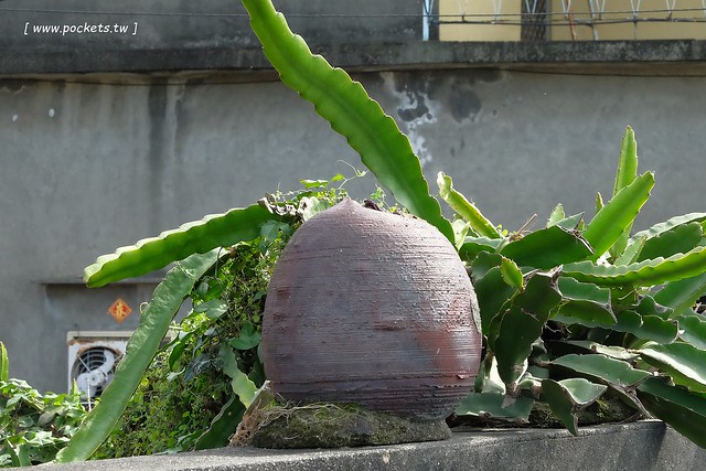 2016台灣蜀藝節-田中窯創意園區┃彰化旅遊景點:蜀葵花田迷宮躲貓貓、美麗的大片落羽松、貓咪主題裝置藝術、窯烤麵包、青森蘋果霜淇淋、鄰近高鐵彰化站步行10分鐘即可抵達 @飛天璇的口袋